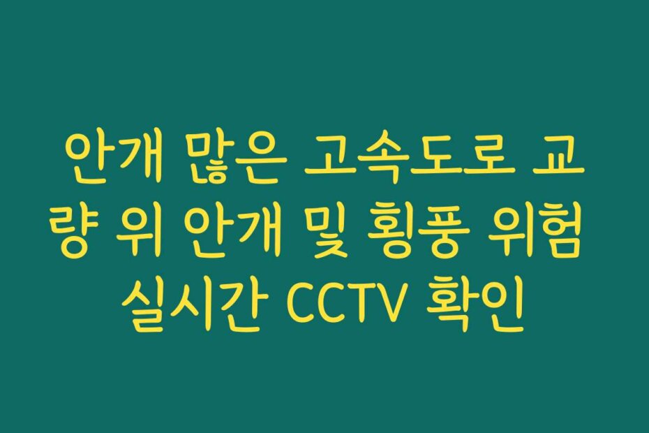 안개 많은 고속도로 교량 위 안개 및 횡풍 위험 실시간 CCTV 확인