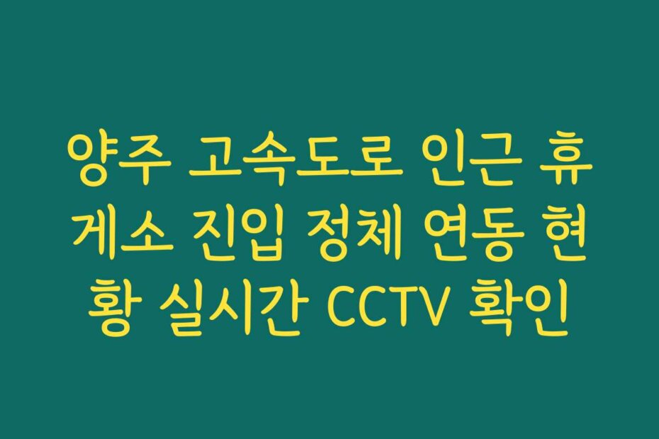 양주 고속도로 인근 휴게소 진입 정체 연동 현황 실시간 CCTV 확인