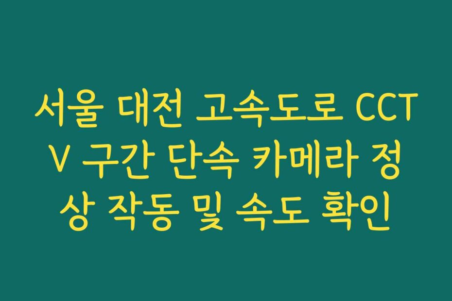 서울 대전 고속도로 CCTV 구간 단속 카메라 정상 작동 및 속도 확인