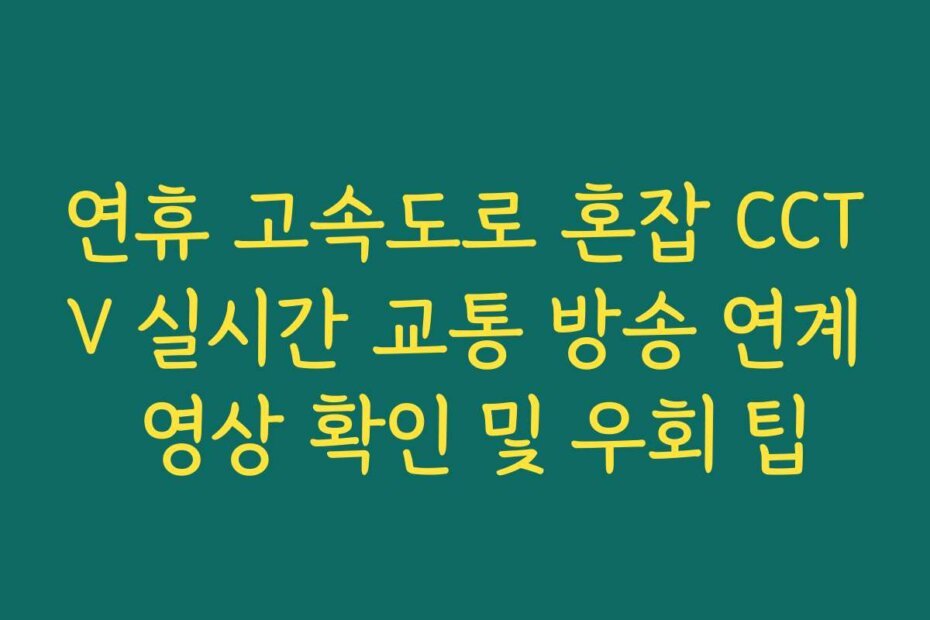 연휴 고속도로 혼잡 CCTV 실시간 교통 방송 연계 영상 확인 및 우회 팁
