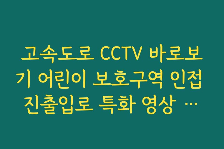 고속도로 CCTV 바로보기 어린이 보호구역 인접 진출입로 특화 영상 조회