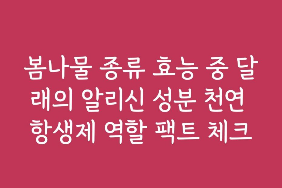 봄나물 종류 효능 중 달래의 알리신 성분 천연 항생제 역할 팩트 체크