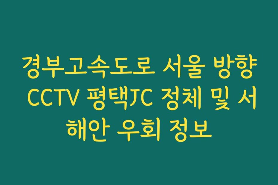 경부고속도로 서울 방향 CCTV 평택JC 정체 및 서해안 우회 정보