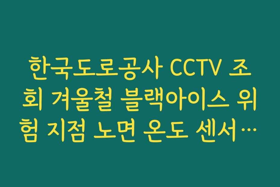 한국도로공사 CCTV 조회 겨울철 블랙아이스 위험 지점 노면 온도 센서 정보 확인