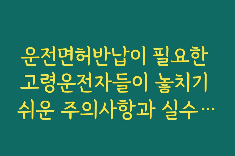 운전면허반납이 필요한 고령운전자들이 놓치기 쉬운 주의사항과 실수 방지법