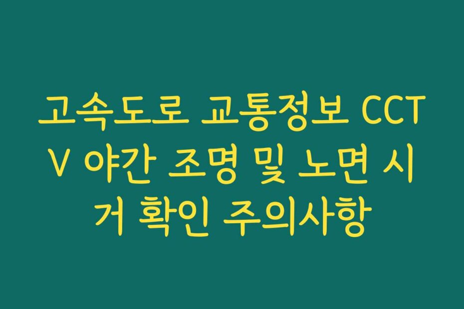 고속도로 교통정보 CCTV 야간 조명 및 노면 시거 확인 주의사항
