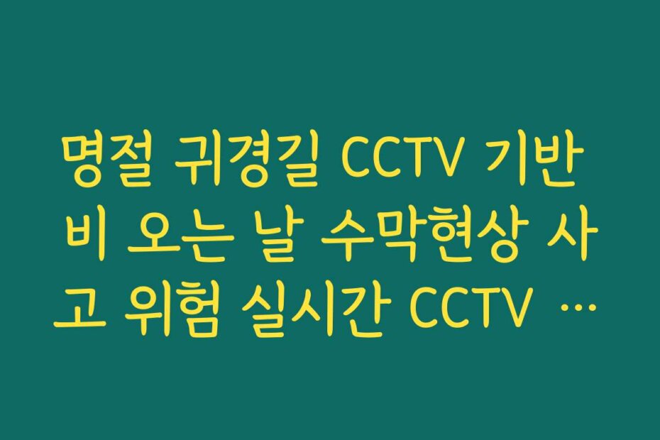 명절 귀경길 CCTV 기반 비 오는 날 수막현상 사고 위험 실시간 CCTV 확인