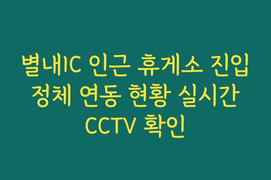 별내IC 인근 휴게소 진입 정체 연동 현황 실시간 CCTV 확인