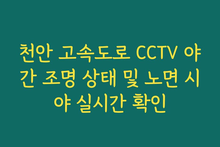 천안 고속도로 CCTV 야간 조명 상태 및 노면 시야 실시간 확인