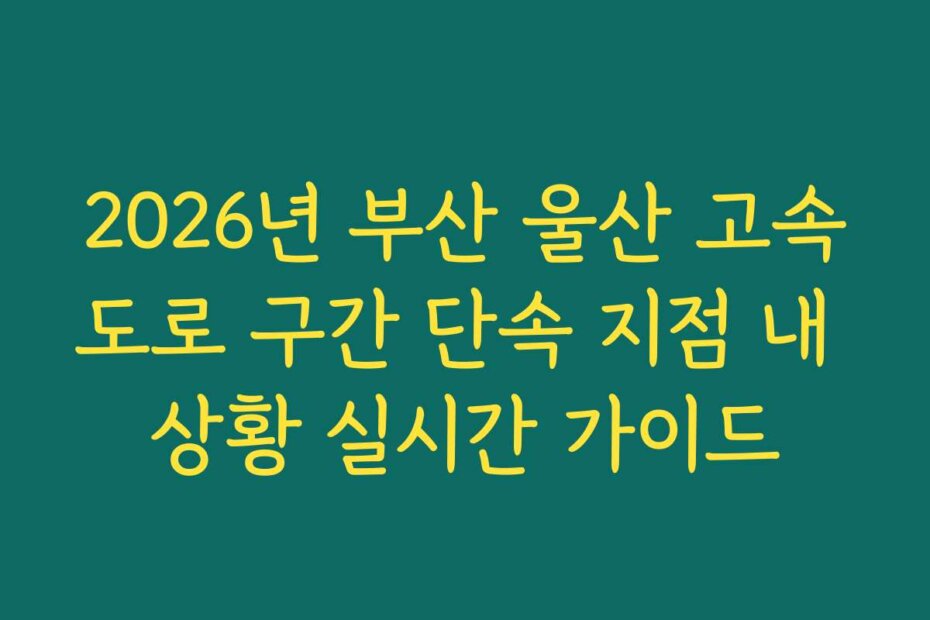 2026년 부산 울산 고속도로 구간 단속 지점 내 상황 실시간 가이드