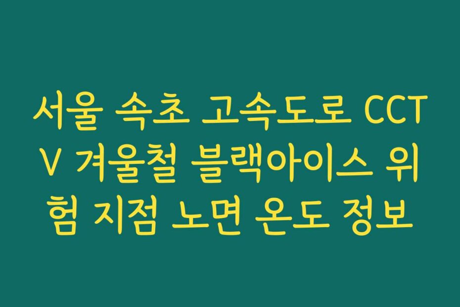 서울 속초 고속도로 CCTV 겨울철 블랙아이스 위험 지점 노면 온도 정보