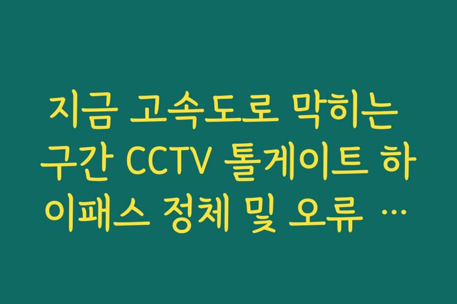 지금 고속도로 막히는 구간 CCTV 톨게이트 하이패스 정체 및 오류 상황 보기