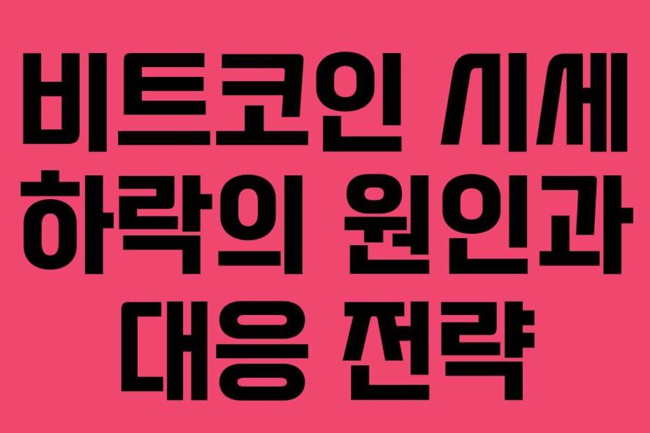 비트코인 시세 하락의 원인과 대응 전략