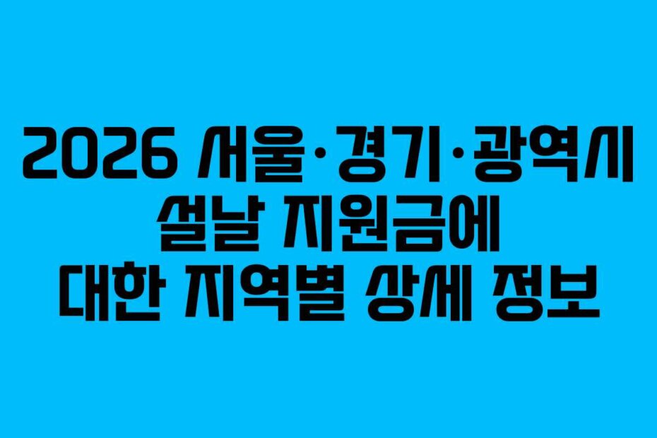 2026 서울&middot;경기&middot;광역시 설날 지원금에 대한 지역별 상세 정보