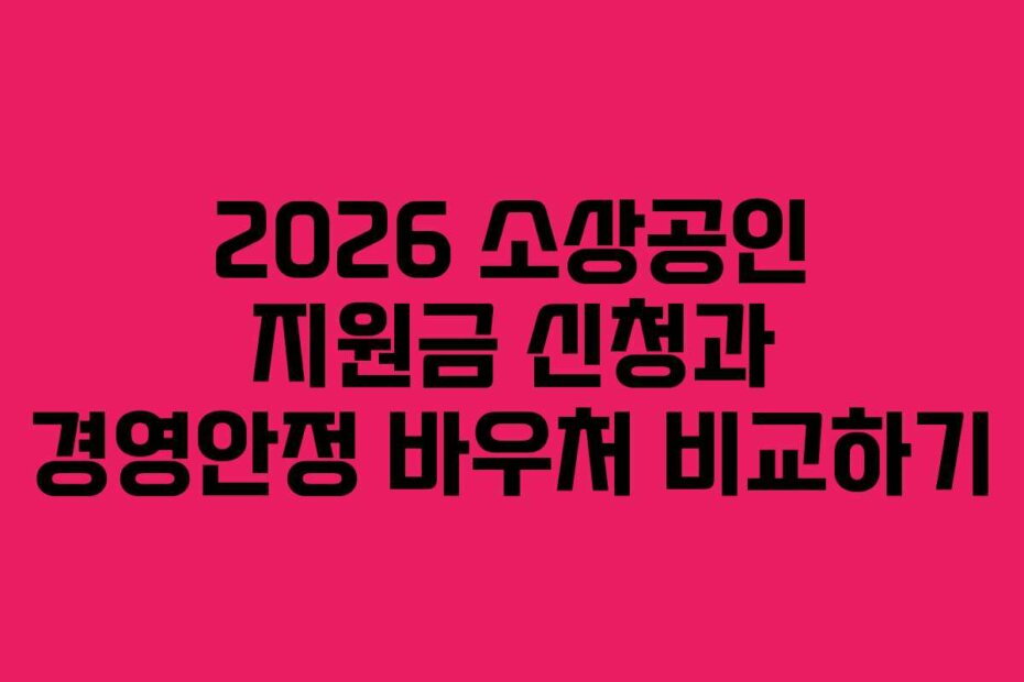 2026 소상공인 지원금 신청과 경영안정 바우처 비교하기