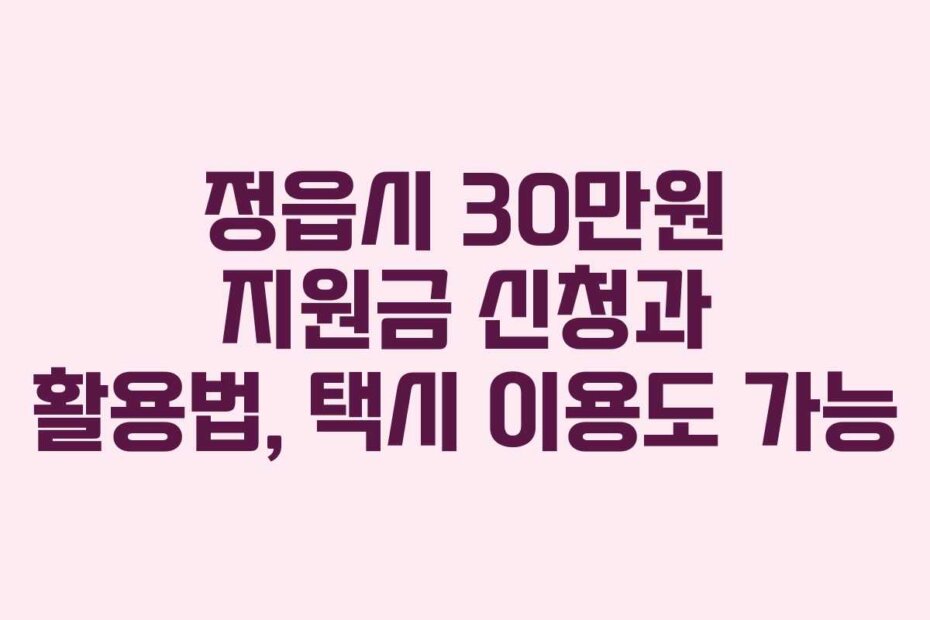 정읍시 30만원 지원금 신청과 활용법, 택시 이용도 가능
