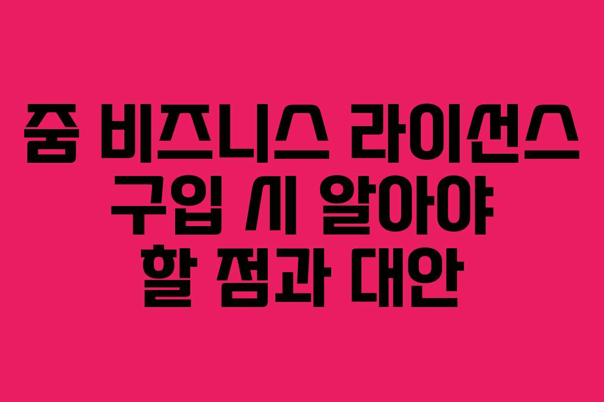 줌 비즈니스 라이선스 구입 시 알아야 할 점과 대안