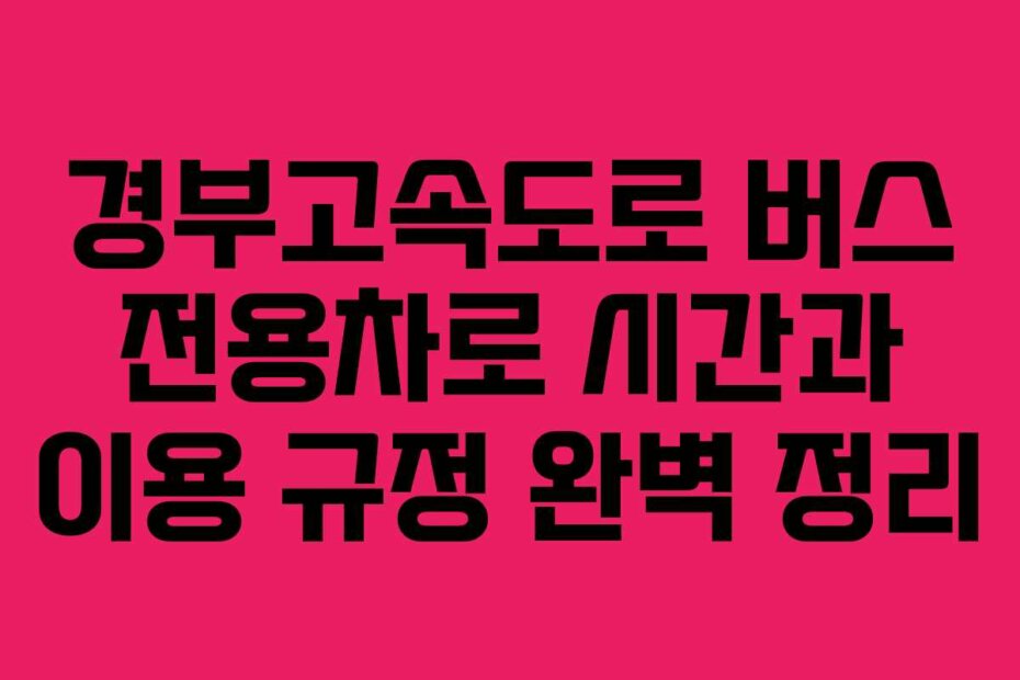 경부고속도로 버스 전용차로 시간과 이용 규정 완벽 정리