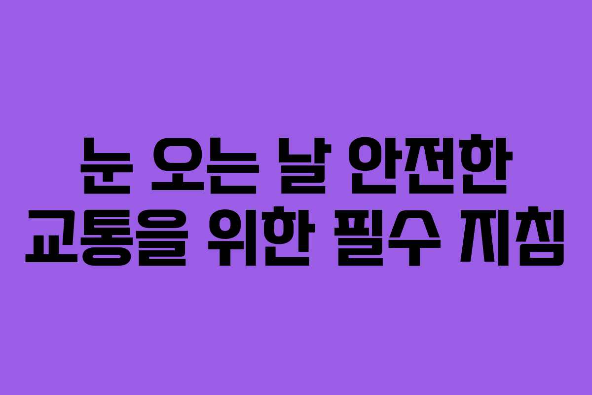 눈 오는 날 안전한 교통을 위한 필수 지침