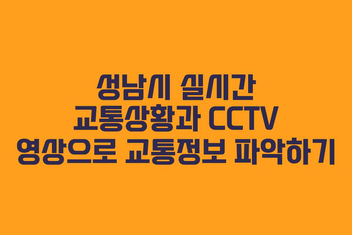 성남시 실시간 교통상황과 CCTV 영상으로 교통정보 파악하기