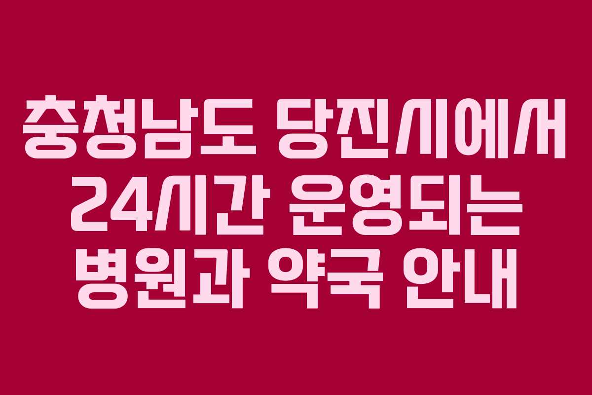 충청남도 당진시에서 24시간 운영되는 병원과 약국 안내