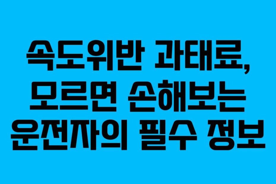 속도위반 과태료, 모르면 손해보는 운전자의 필수 정보