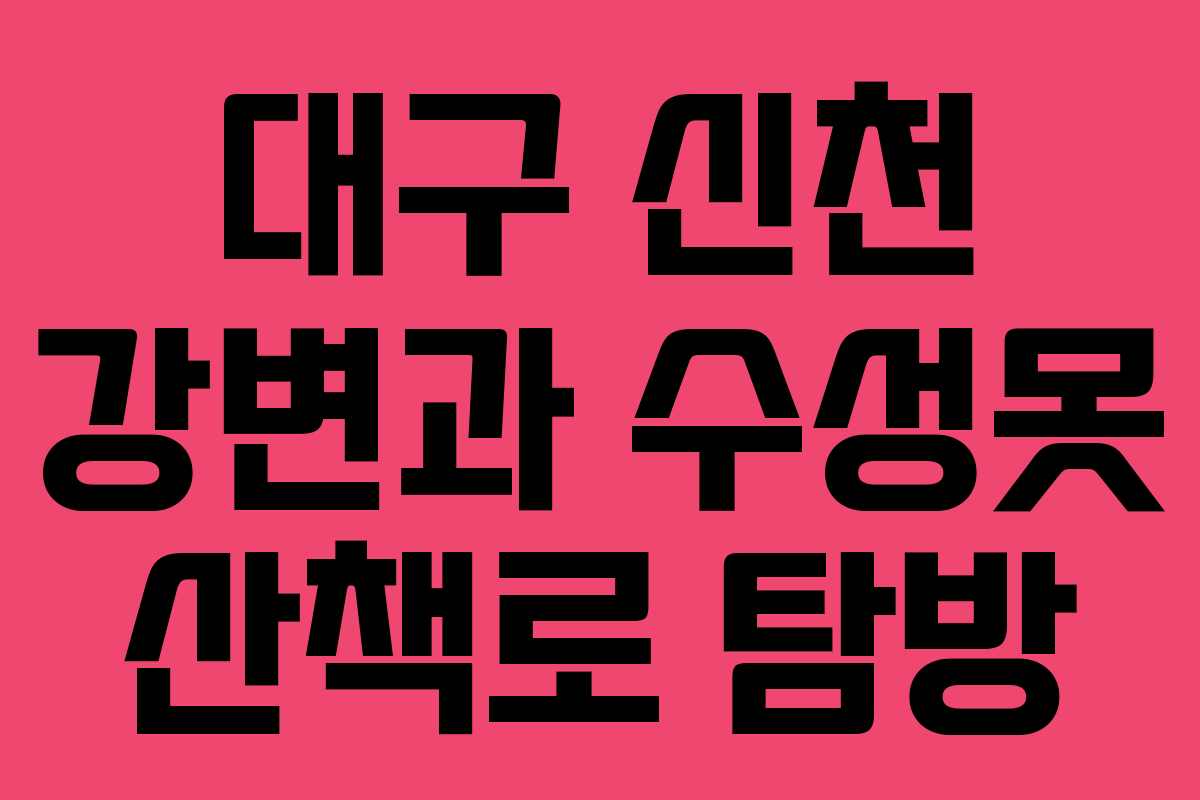 대구 신천 강변과 수성못 산책로 탐방