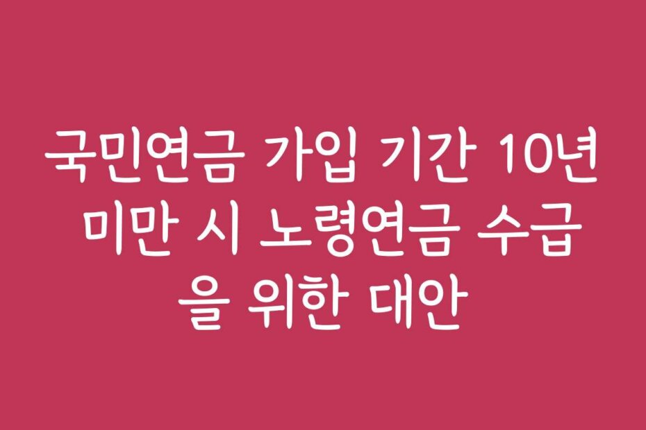 국민연금 가입 기간 10년 미만 시 노령연금 수급을 위한 대안