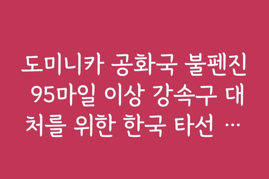 도미니카 공화국 불펜진 95마일 이상 강속구 대처를 위한 한국 타선 적응 훈련