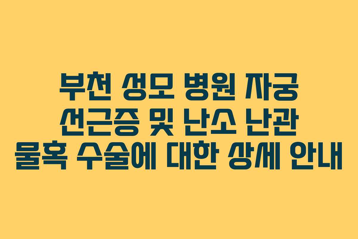 부천 성모 병원 자궁 선근증 및 난소 난관 물혹 수술에 대한 상세 안내