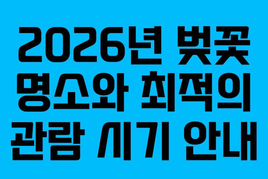 2026년 벚꽃 명소와 최적의 관람 시기 안내