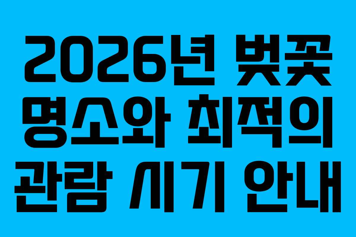 2026년 벚꽃 명소와 최적의 관람 시기 안내
