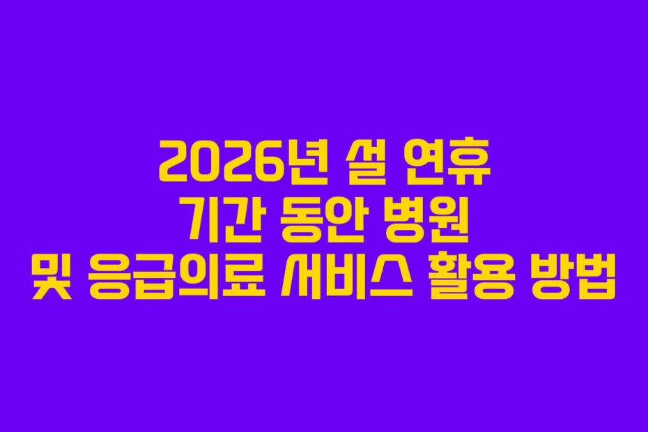 2026년 설 연휴 기간 동안 병원 및 응급의료 서비스 활용 방법