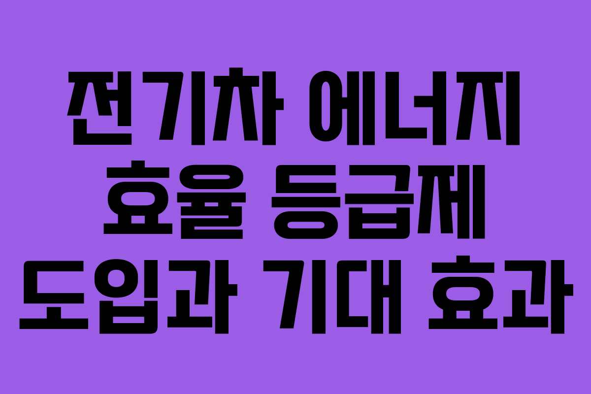전기차 에너지 효율 등급제 도입과 기대 효과