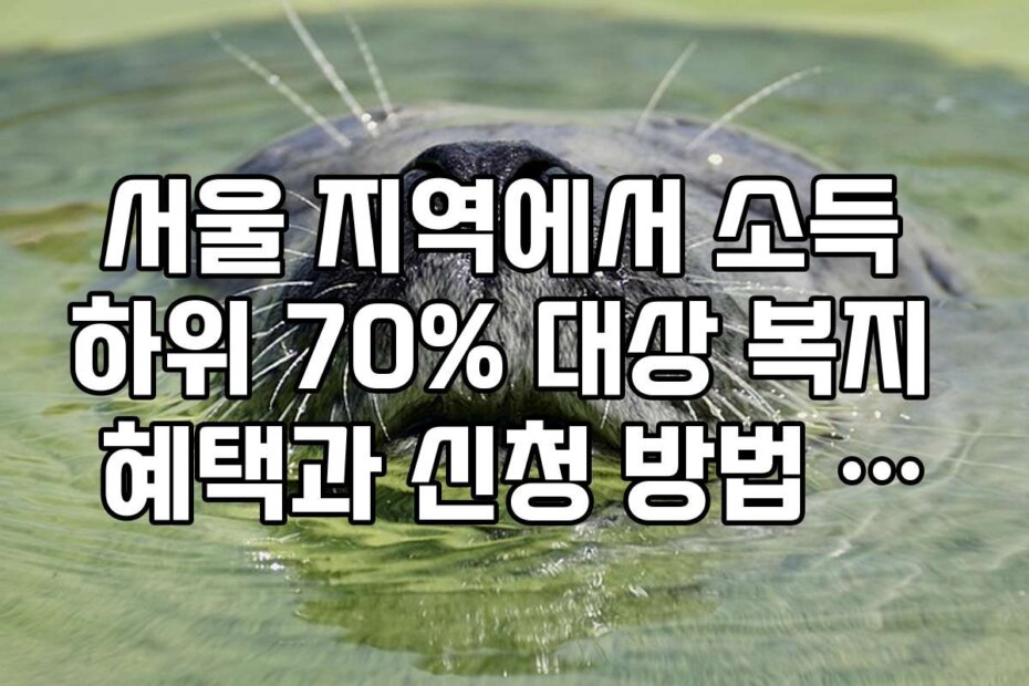서울 지역에서 소득 하위 70% 대상 복지 혜택과 신청 방법 안내