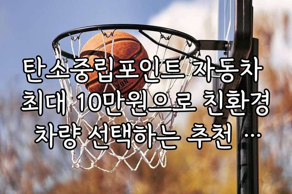 탄소중립포인트 자동차 최대 10만원으로 친환경 차량 선택하는 추천 순위