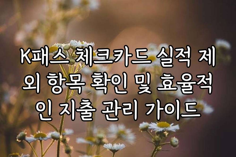 K패스 체크카드 실적 제외 항목 확인 및 효율적인 지출 관리 가이드