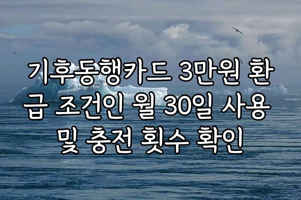 기후동행카드 3만원 환급 조건인 월 30일 사용 및 충전 횟수 확인