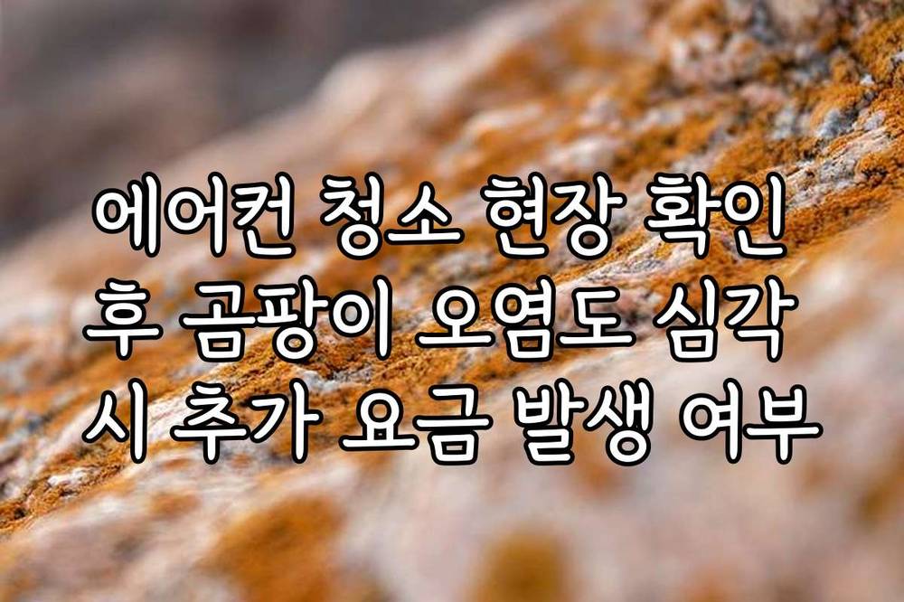 에어컨 청소 현장 확인 후 곰팡이 오염도 심각 시 추가 요금 발생 여부
