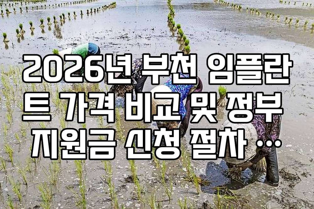 2026년 부천 임플란트 가격 비교 및 정부 지원금 신청 절차 가이드