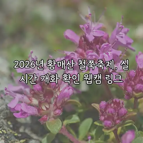 2026년 황매산 철쭉축제, 실시간 개화 확인 웹캠 링크