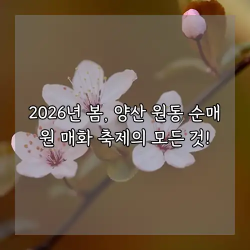 2026년 봄, 양산 원동 순매원 매화 축제의 모든 것!
