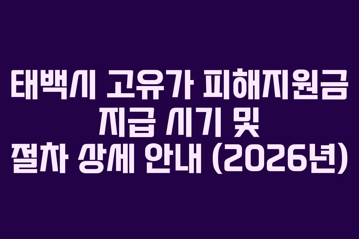 태백시 고유가 피해지원금 지급 시기 및 절차 상세 안내 (2026년)