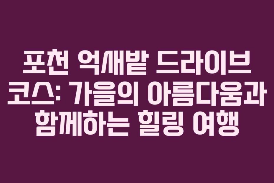 포천 억새밭 드라이브 코스: 가을의 아름다움과 함께하는 힐링 여행