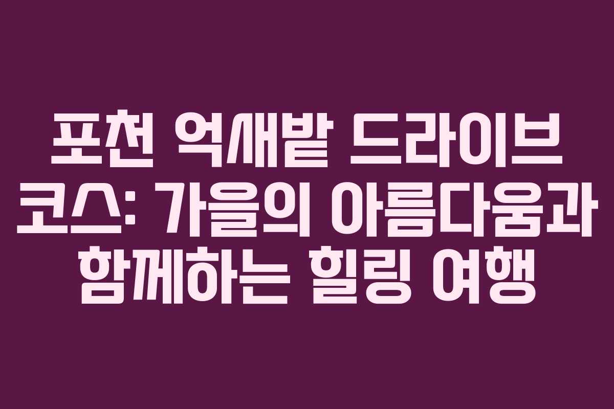 포천 억새밭 드라이브 코스: 가을의 아름다움과 함께하는 힐링 여행